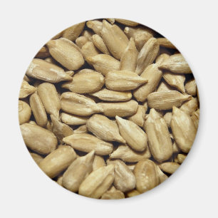 Sunflower seeds magnet