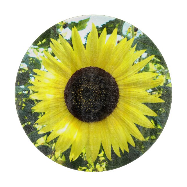 Sunflower Sensation Glass Cutting Board (Front)
