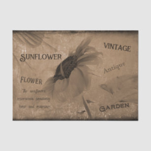 Sunflower Sepia Brown Vintage Antique Ephemera Tissue Paper