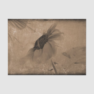 Sunflower Sepia Brown Vintage Antique Old Texture Tissue Paper