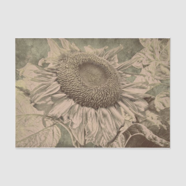 Sunflower Sepia Tone Brown Art Texture Decoupage Tissue Paper (Front)