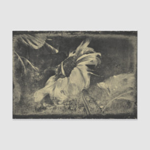 Sunflower Sepia Vintage Antique Grunge Texture Tissue Paper
