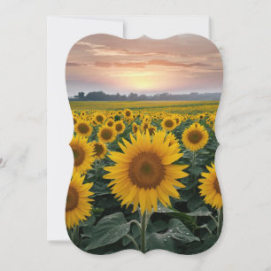Sunflower Serenade: A Sunrise Scene