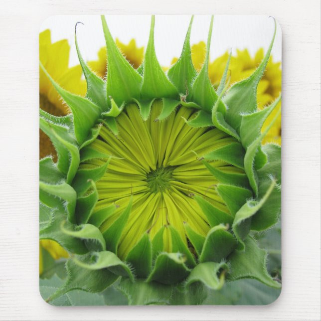 Sunflower Series Mouse Pad (Front)