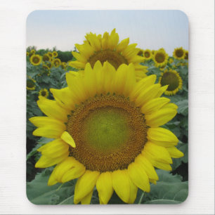 Sunflower Series Mouse Pad