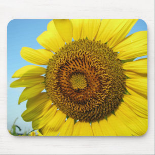 Sunflower series mouse pad