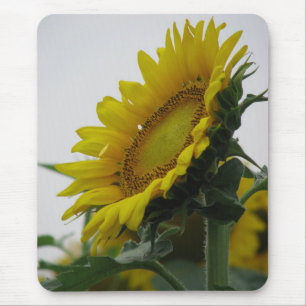 Sunflower Series Mouse Pad