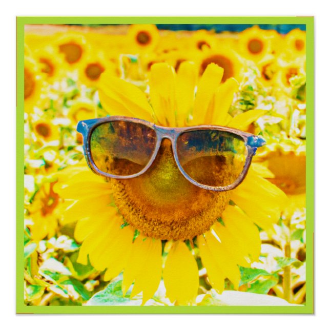 Sunflower Shades Chic Poster (Front)