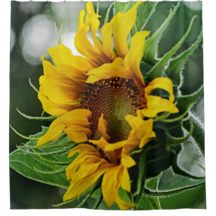 Sunflower Shower Curtain