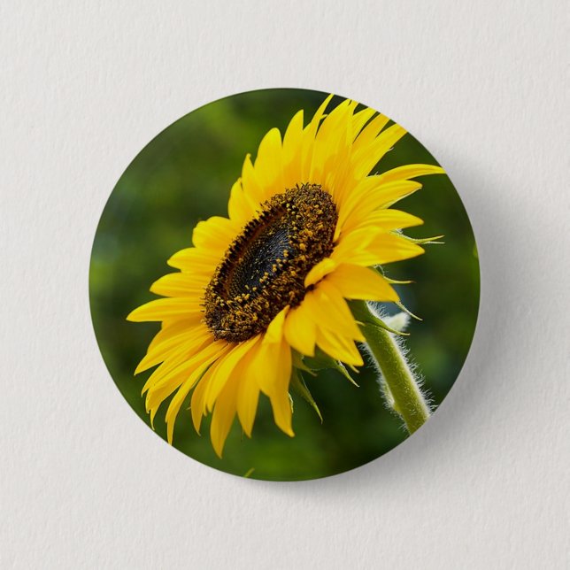 Sunflower Sideshot 6 Cm Round Badge (Front)