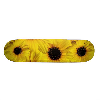 sunflower skateboard