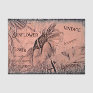 Sunflower Sketch Sepia Vintage Antique Ephemera Tissue Paper