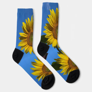 Sunflower Socks