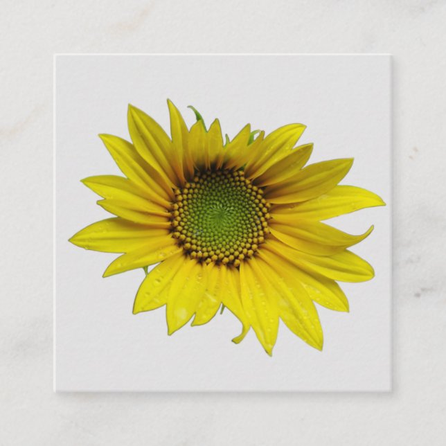sunflower solo 2.5" x 2.5" Enclosure Card (Front)