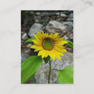 sunflower solo card