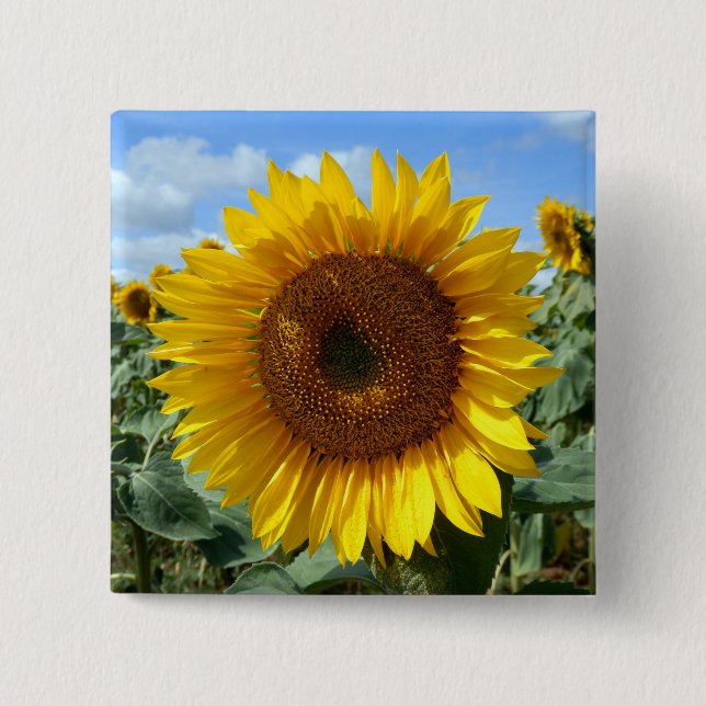 Sunflower Square Badge (Front)