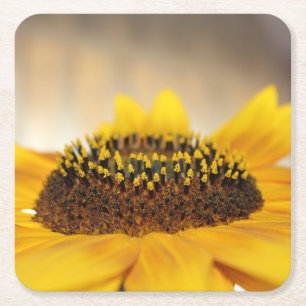 Sunflower Square Paper Coaster