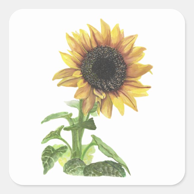 Sunflower  square sticker (Front)