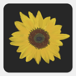 Sunflower Square Stickers