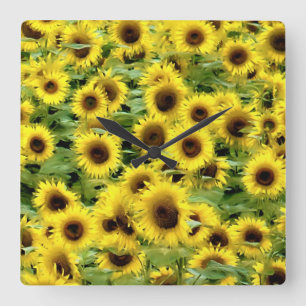 Sunflower Square Wall Clock
