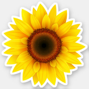 Sunflower Sticker 
