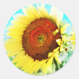 Sunflower sticker