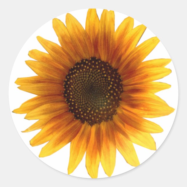 Sunflower sticker (Front)