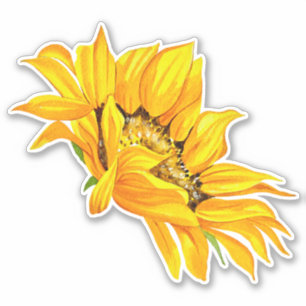 Sunflower Sticker