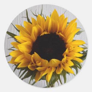 Sunflower Stickers