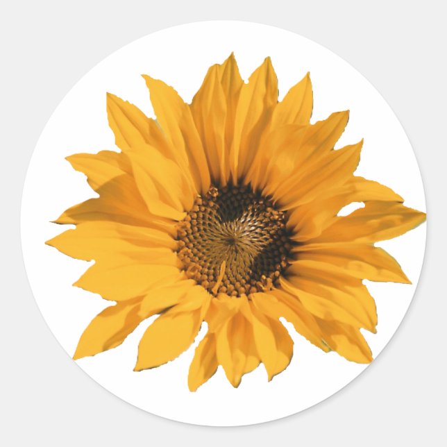 Sunflower Stickers (Front)