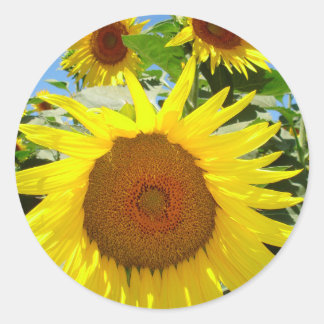 Sunflower stickers = floral sticker
