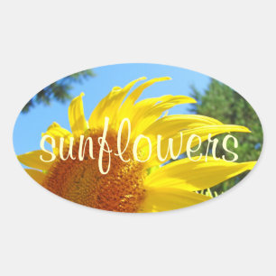 Sunflower stickers Summer Yellow Glowing Flowers