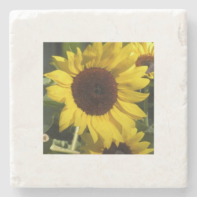 Sunflower Stone Coaster (Front)
