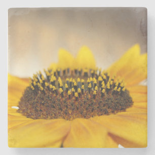 Sunflower Stone Coaster
