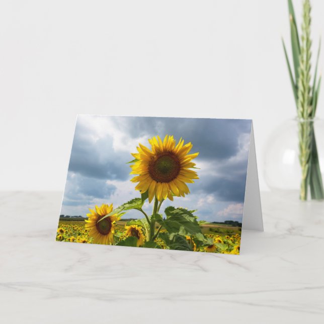 Sunflower Storm Blank Note Card (Front)