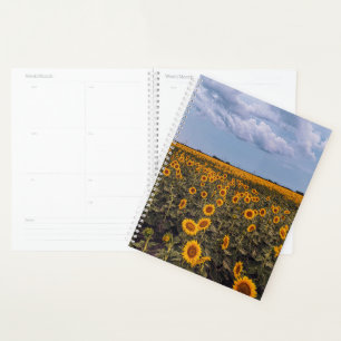 Sunflower Storm Planner