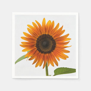 Sunflower Summer Evening Napkin