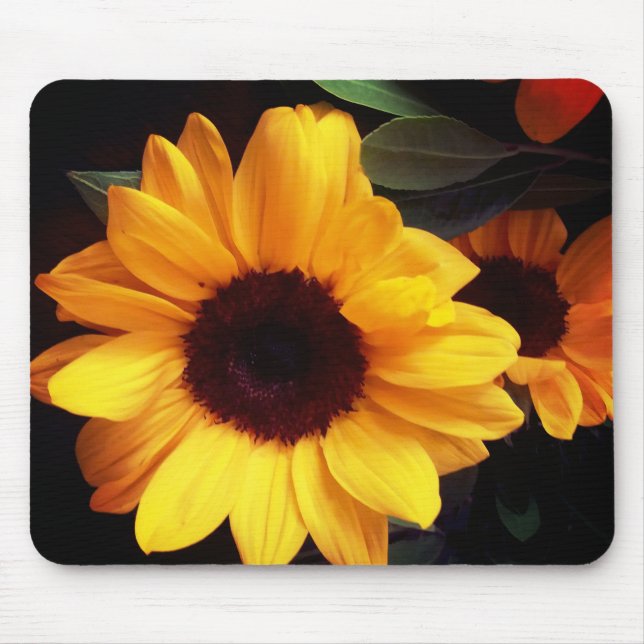 Sunflower, summer yellow , garden flower mouse pad (Front)
