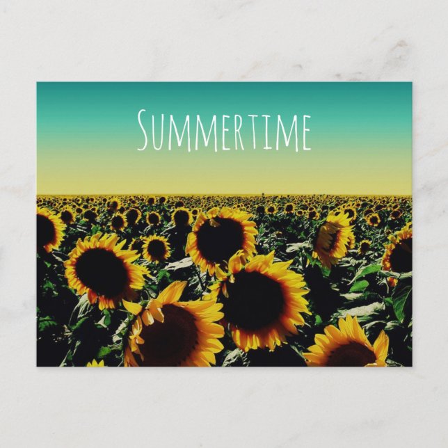 Sunflower Summertime Postcard (Front)