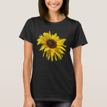 sunflower, sunflower, flower, flower, flowers