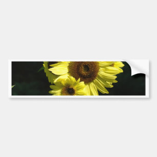 SUNFLOWER SunFlowers Sun Flowers Cards Gifts Mugs Bumper Sticker