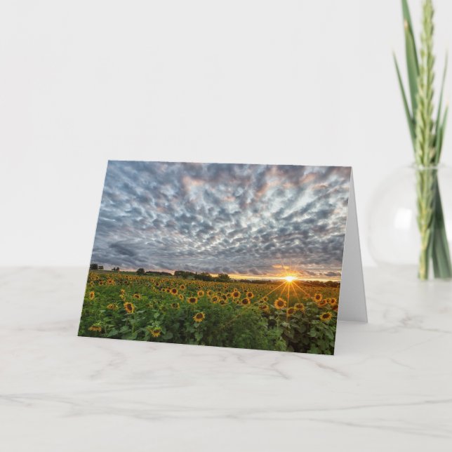 Sunflower Sunset Blank Note Card (Front)