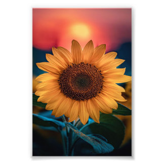 Sunflower sunset - Cute Funny Gift For Daddy/Mummy Photo Print