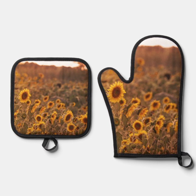 Sunflower Sunset in a Rural Field Colour Oven Mitt & Pot Holder Set (Front)