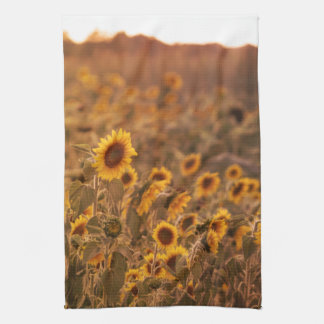 Sunflower Sunset in a Rural Field Colour Tea Towel