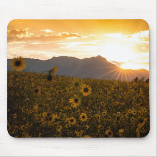 Sunflower Sunset Mouse Pad