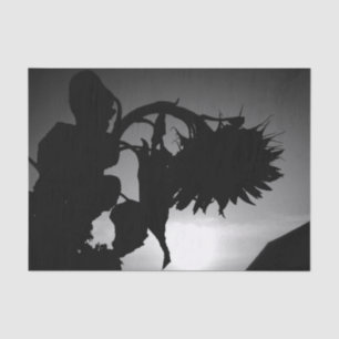 Sunflower Sunset Silhouette Black White Vintage Tissue Paper