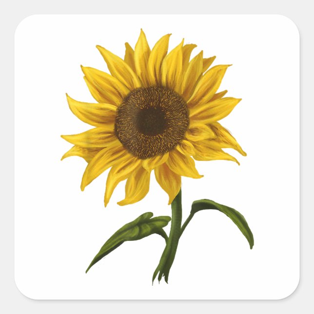 Sunflower Sunshine Floral Watercolor Flower Square Sticker (Front)