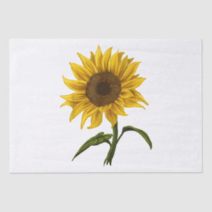 Sunflower Sunshine Floral Watercolor Flower Tissue Paper