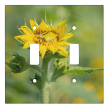 Sunflower Switch Plate Cover
